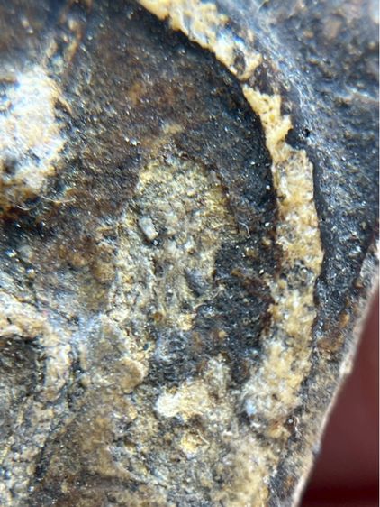 พระสมเด็จวัดระฆังพิมพ์ใหญ่ สองหน้าจรักน้ำเกลี้ยงเนื้อหาเก่าสวยสมอายุพระ รูปที่ 11