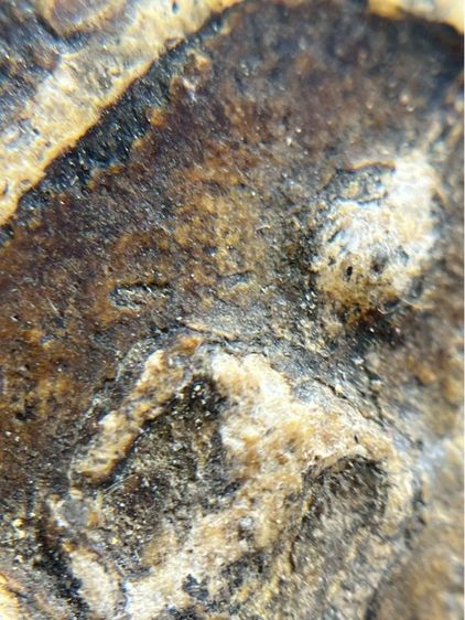 พระสมเด็จวัดระฆังพิมพ์ใหญ่ สองหน้าจรักน้ำเกลี้ยงเนื้อหาเก่าสวยสมอายุพระ รูปที่ 10