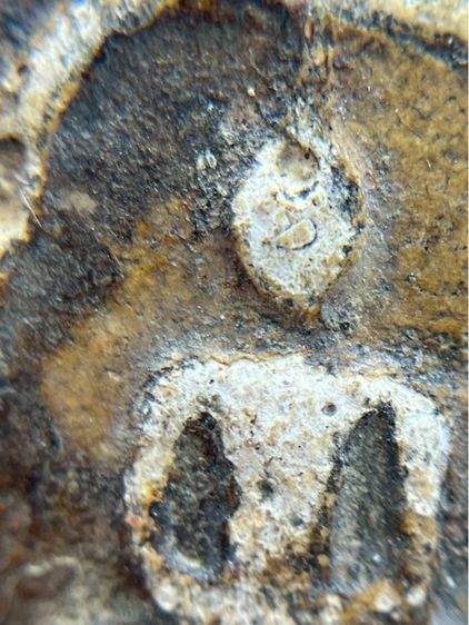 พระสมเด็จวัดระฆังพิมพ์ใหญ่ สองหน้าจรักน้ำเกลี้ยงเนื้อหาเก่าสวยสมอายุพระ รูปที่ 6