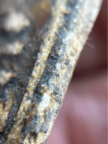 พระสมเด็จวัดระฆังพิมพ์ใหญ่ สองหน้าจรักน้ำเกลี้ยงเนื้อหาเก่าสวยสมอายุพระ รูปที่ 15