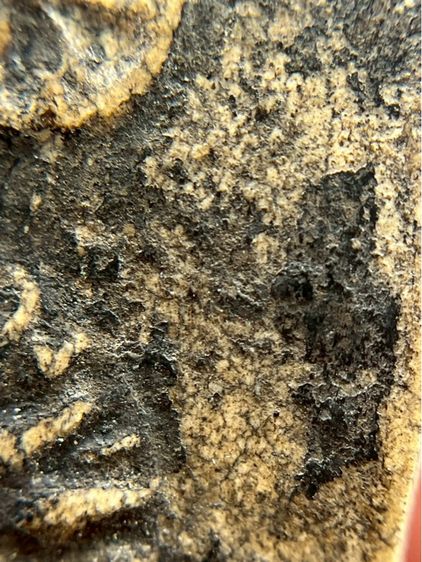 พระสมเด็จแผ่รัศมี หลังเขียนพระสมเด็จค้าขายร่ำรวยสมเด็จโตปลุกเสกสร้างถวาย ร.5 2411 รูปที่ 11