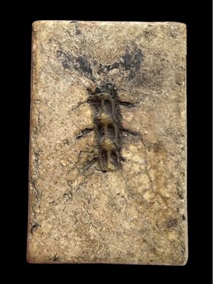 พระสมเด็จวัดระฆังพิมพ์ใหญ่เกศทะลุซุ้มหลังก้างปลา รูปที่ 2