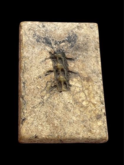 พระสมเด็จวัดระฆังพิมพ์ใหญ่เกศทะลุซุ้มหลังก้างปลา รูปที่ 6