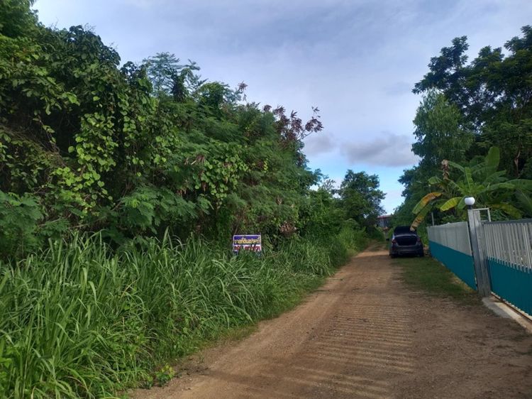 ที่ดิน เปล่า รูปที่ 3