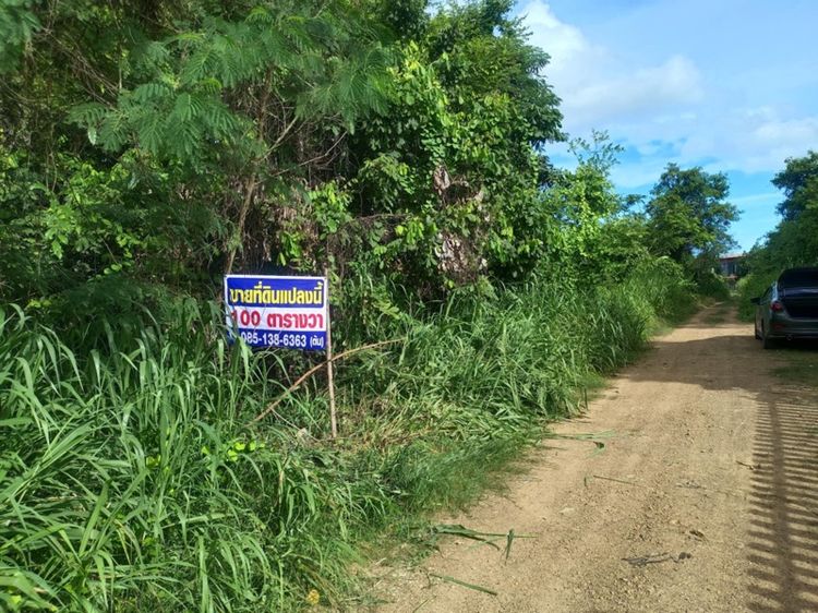 ที่ดิน เปล่า รูปที่ 2