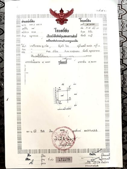 ที่ดิน เปล่า