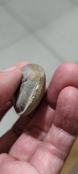 ปตเก่าๆ รูปที่ 11