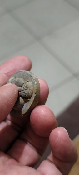 ปตเก่าๆ รูปที่ 10