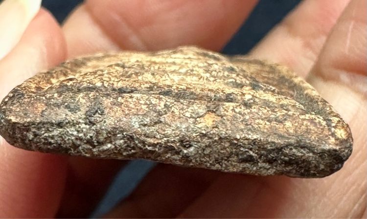 พระสมเด็จองค์ละ 1000 รูปที่ 12