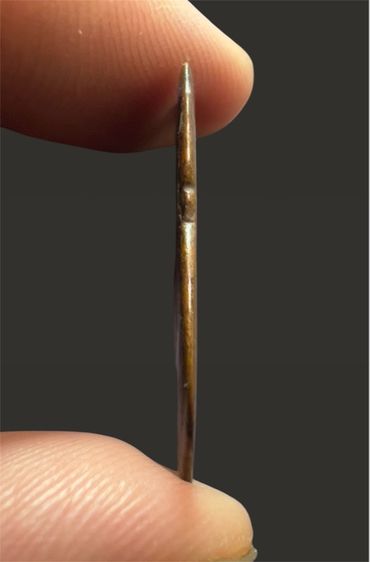 เหรียญหลวงพ่อเงิน วัดดอนยายหอม รูปที่ 4