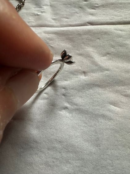 แหวน Pandora แท้ ไซส์ 52 รูปที่ 3