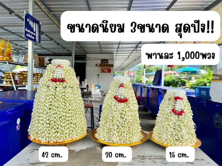 มะลิแก้บนวัดพระธาตุดอยคำ รูปที่ 5