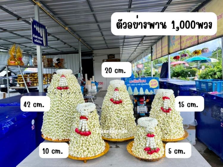มะลิแก้บนวัดพระธาตุดอยคำ รูปที่ 3