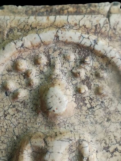 ปรกโพธิ์ หลังลายดอกพิกุล. รูปที่ 5