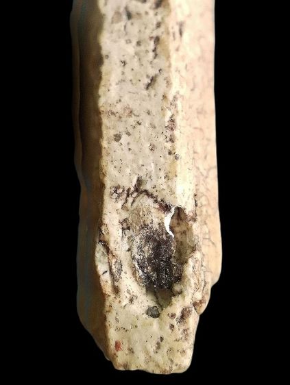 ปรกโพธิ์ หลังลายดอกพิกุล. รูปที่ 17