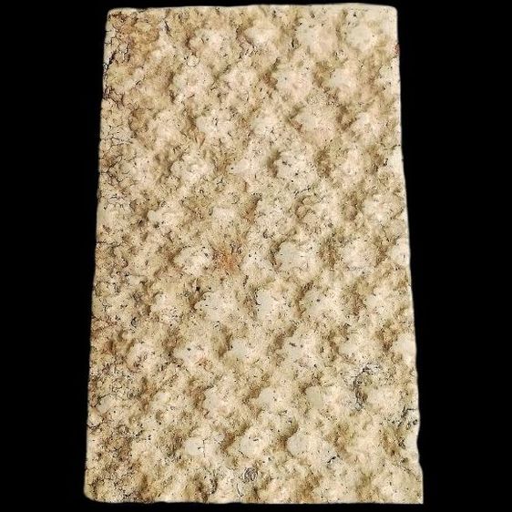 ปรกโพธิ์ หลังลายดอกพิกุล. รูปที่ 2