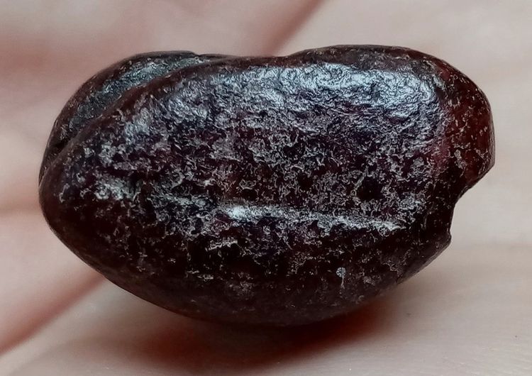 พระเก่า เนื้อผง รูปที่ 4