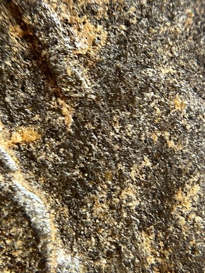 พระหลวงพ่อทวดเนื้อว่าน 108 พิมพ์สี่เหลี่ยมวัดช้างให้(075) รูปที่ 15