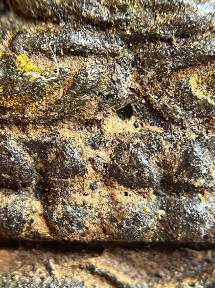 พระหลวงพ่อทวดเนื้อว่าน 108 พิมพ์สี่เหลี่ยมวัดช้างให้(075) รูปที่ 6