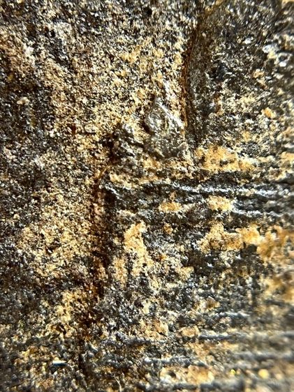 พระหลวงพ่อทวดเนื้อว่าน 108 พิมพ์สี่เหลี่ยมวัดช้างให้(075) รูปที่ 11