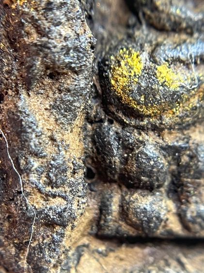 พระหลวงพ่อทวดเนื้อว่าน 108 พิมพ์สี่เหลี่ยมวัดช้างให้(075) รูปที่ 5