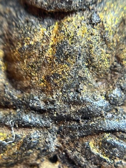 พระหลวงพ่อทวดเนื้อว่าน 108 พิมพ์สี่เหลี่ยมวัดช้างให้(075) รูปที่ 7