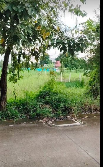 ขายที่ดิน ถ.ติวานนท์  บางพูด อ.ปากเกร็ด นนทบุรี ใกล้เมืองทองธานี (ซอยงบประมาณ) 18 ตรว.