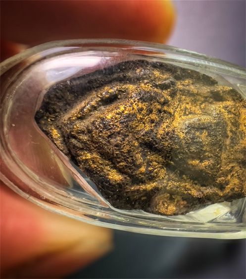 พระกรุวัดประยูรวงศาวาสวรวิหาร ลงรักทอง ซุ้มเรือนแก้ว  รูปที่ 4