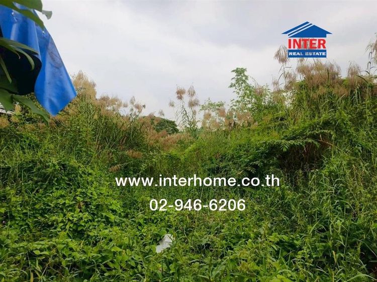 ที่ดินเปล่า 204 ตร.ว. ที่ดิน ถนนศรีนครินทร์ ซอยเทศบาลบางเมือง ใกล้โรงพยาบาลเปาโล ถนนศรีนครินทร์ ถนนเทพารักษ์ เมืองสมุทรปราการ สมุทรปราการ