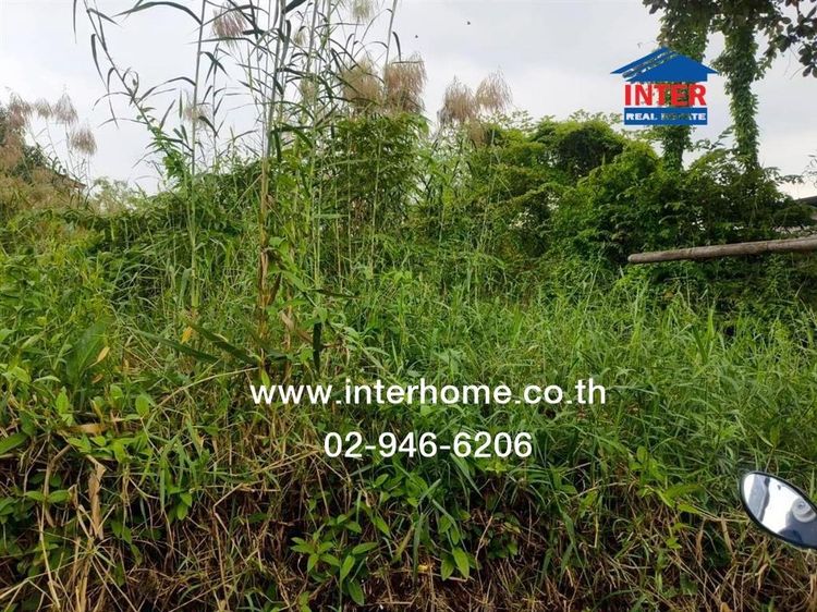 ที่ดินเปล่า 204 ตร.ว. ที่ดิน ถนนศรีนครินทร์ ซอยเทศบาลบางเมือง ใกล้โรงพยาบาลเปาโล ถนนศรีนครินทร์ ถนนเทพารักษ์ เมืองสมุทรปราการ สมุทรปราการ รูปที่ 4