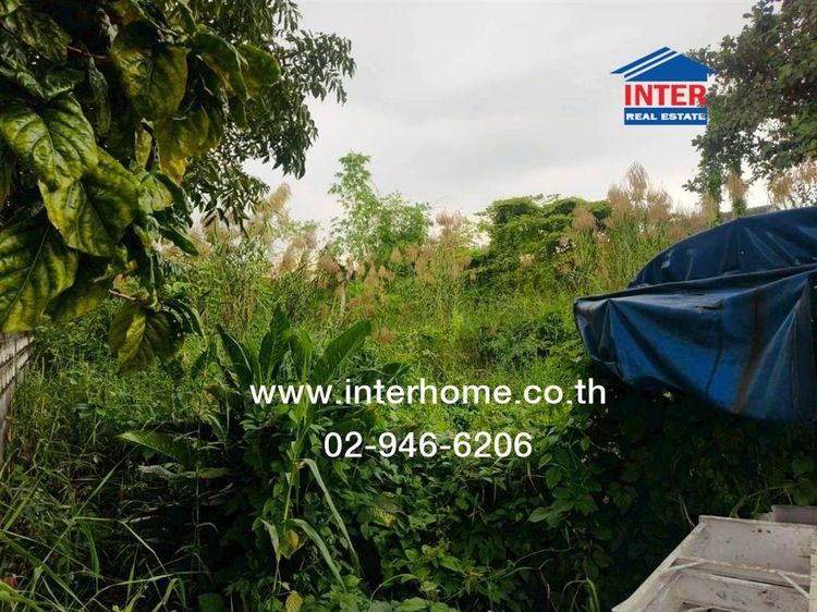 ที่ดินเปล่า 204 ตร.ว. ที่ดิน ถนนศรีนครินทร์ ซอยเทศบาลบางเมือง ใกล้โรงพยาบาลเปาโล ถนนศรีนครินทร์ ถนนเทพารักษ์ เมืองสมุทรปราการ สมุทรปราการ รูปที่ 2