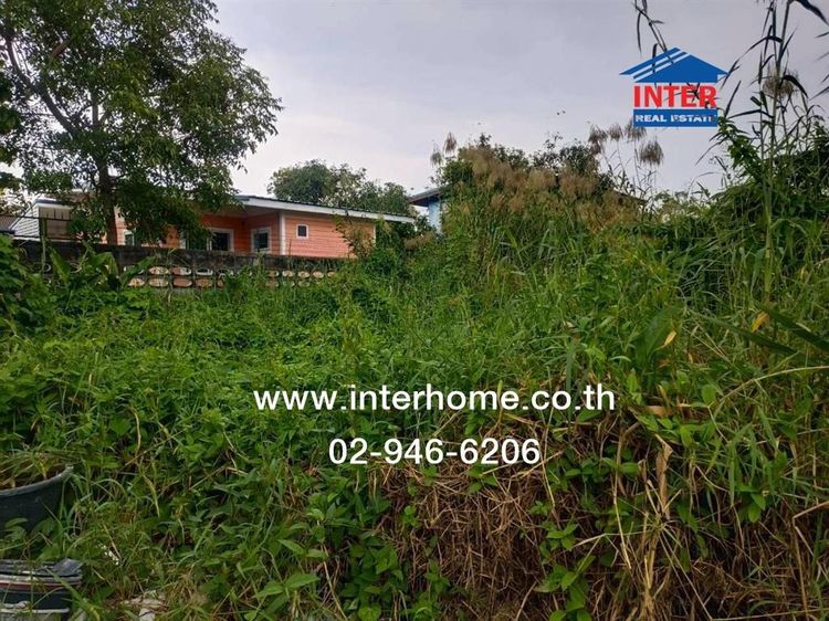 ที่ดินเปล่า 204 ตร.ว. ที่ดิน ถนนศรีนครินทร์ ซอยเทศบาลบางเมือง ใกล้โรงพยาบาลเปาโล ถนนศรีนครินทร์ ถนนเทพารักษ์ เมืองสมุทรปราการ สมุทรปราการ รูปที่ 3