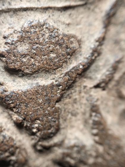 หลวงพ่อปานเนื้อดินครับทรงครุฑ รูปที่ 9