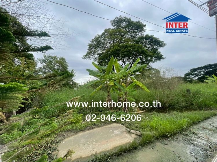 ที่ดินเปล่า 150 ตร.ว. ที่ดิน หมู่บ้านเมืองทองการ์เด้นท์ ซอยพัฒนาการ69 แยก8-2 ถนนศรีนครินทร์ ถนนพัฒนาการ69 เขตประเวศ กรุงเทพมหานคร รูปที่ 4