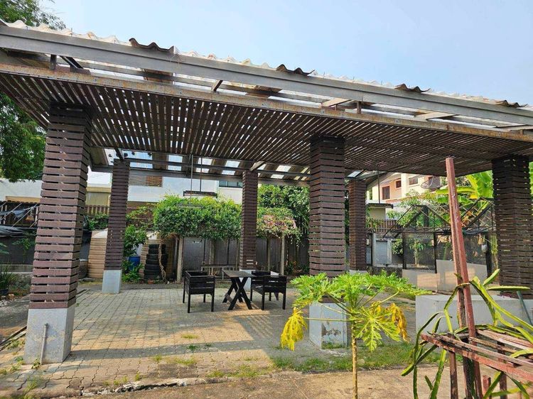 อื่นๆ ไม่มี สร้างเสร็จก่อน 2010 Sale and  Rent  Garden old House  very closed Central Latphraoขายและให้เช่า บ้านเดี่ยว ครึ่งไร่ ใกล้ห้างเซ็นทรัลลาดพร้าว  รูปที่ 4