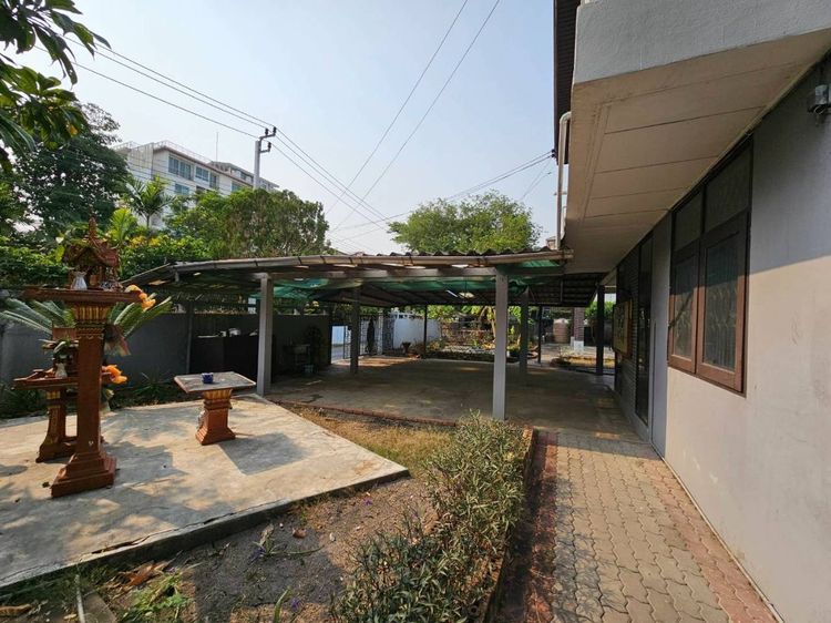 อื่นๆ ไม่มี สร้างเสร็จก่อน 2010 Sale and  Rent  Garden old House  very closed Central Latphraoขายและให้เช่า บ้านเดี่ยว ครึ่งไร่ ใกล้ห้างเซ็นทรัลลาดพร้าว  รูปที่ 3