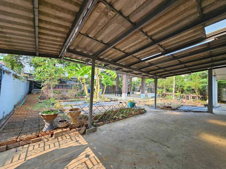 Sale Land 204 sq.wah so bigger plot land with old house near Central Latphrao ขายที่ดินพร้อมบ้านครึ่งไร่ ใกล้ห้างเซ็นทรัลลาดพร้าว รูปที่ 3