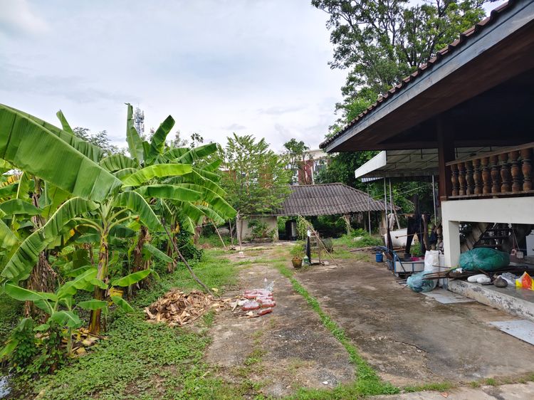 ขายที่ดิน ถนนราชพฤกษ์ บางรักน้อย เมืองนนทบุรี รูปที่ 3
