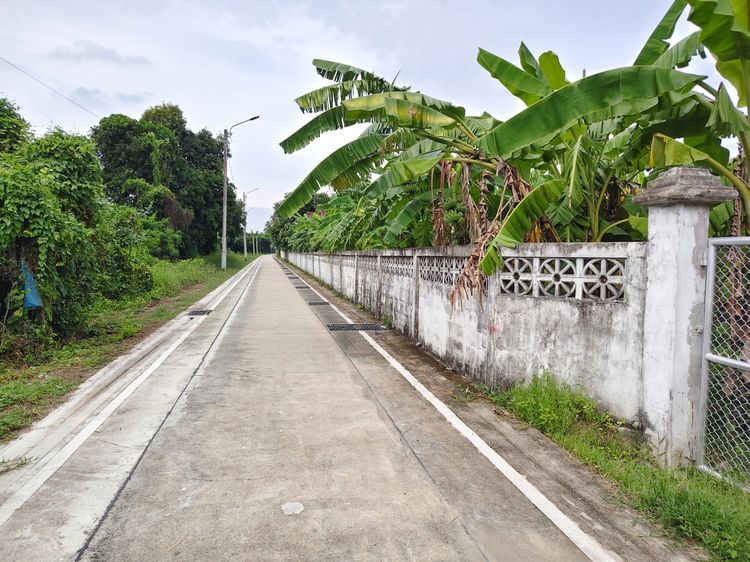 ขายที่ดิน ถนนราชพฤกษ์ บางรักน้อย เมืองนนทบุรี รูปที่ 4