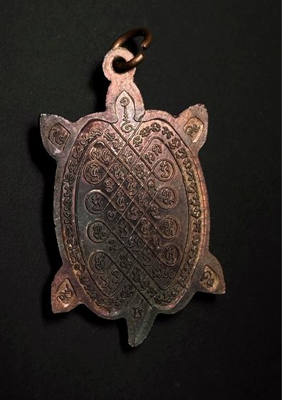 เหรียญพญาเต่าเรือน หลวงปู่หลิว เมตตามหาลาภ รูปที่ 6