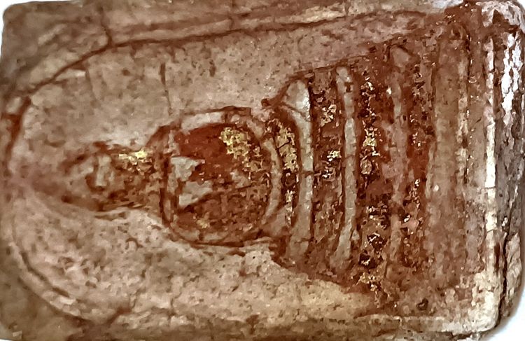 พระเครื่อง พระสมเด็จวัดระฆัง พร้อมกรอบทองคำ รูปที่ 5