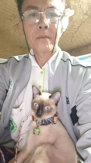 หาผู้ดูแลน้องวิเชียรมาศ