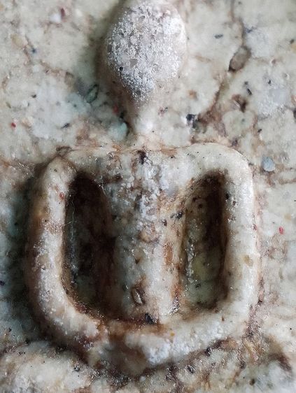 หลังอักษรจีน. รูปที่ 6