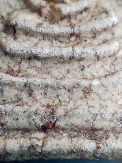 หลังอักษรจีน. รูปที่ 7