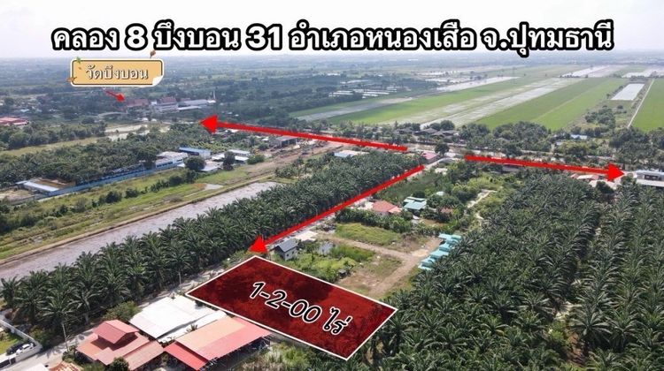 ห้ามพลาด ที่ดินสวยทำเลดี คลอง 8 หนองเสือ ปทุมธานี  ขายที่ดิน 1 ไร่กว่า ถมแล้ว ทำเลดี ใกล้รังสิต คลอง 7 – คลอง 8 – ถนนเลียบคลอง
