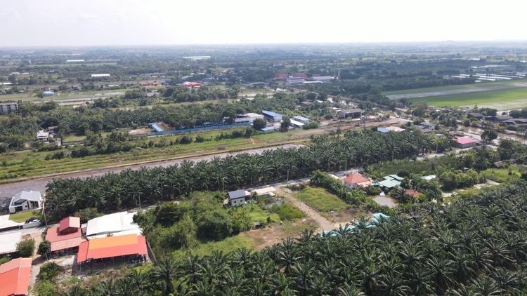 ห้ามพลาด ที่ดินสวยทำเลดี คลอง 8 หนองเสือ ปทุมธานี  ขายที่ดิน 1 ไร่กว่า ถมแล้ว ทำเลดี ใกล้รังสิต คลอง 7 – คลอง 8 – ถนนเลียบคลอง รูปที่ 4