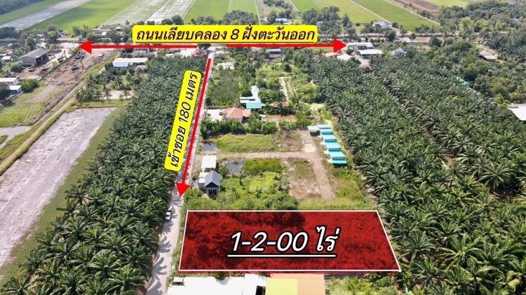 ห้ามพลาด ที่ดินสวยทำเลดี คลอง 8 หนองเสือ ปทุมธานี ขายที่ดิน 1 ไร่กว่า ถมแล้ว ทำเลดี ใกล้รังสิต คลอง 7 – คลอง 8 – ถนนเลียบคลอง รูปที่ 3