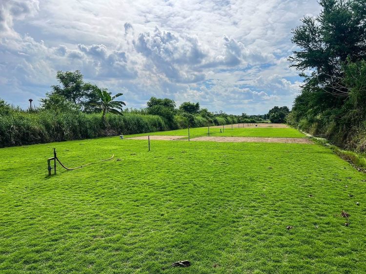 ด่วนที่สุด ที่ดินราคาถูก คลอง12 หนองเสือ ปทุมธานี รังสิต-นครนายก