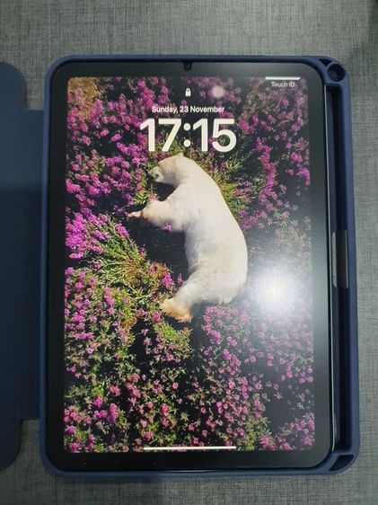 iPad mini 6