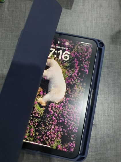 iPad mini 6 รูปที่ 6